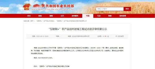 全市唯一！金鄉(xiāng)縣擬入選互聯(lián)網(wǎng)+農(nóng)產(chǎn)品出村進城工程試點縣，新沂探索互聯(lián)網(wǎng)游戲服務發(fā)展