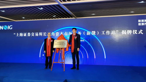 科技、資本與模式 上交所長三角資本市場服務新微工作站揭牌與新沂互聯網信息服務展望